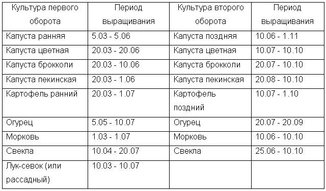 сроки посадки пекинской капусты в открытый грунт сроки посадки пекинской капусты в открытый грунт