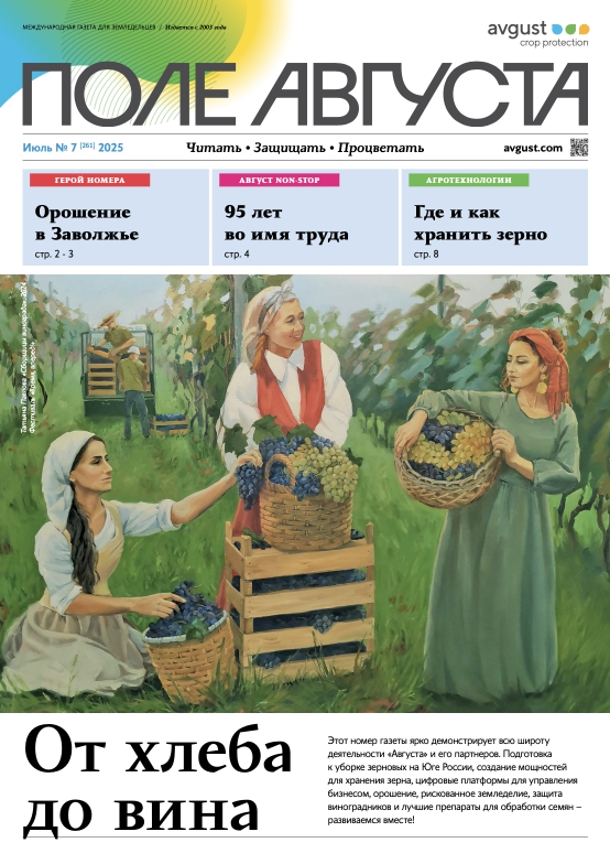 Газета «Поле Августа»