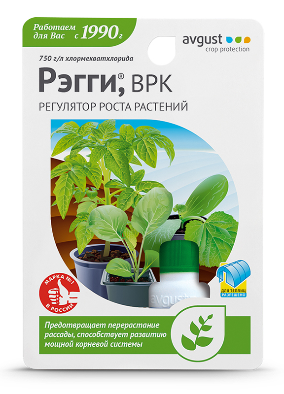 10 мл