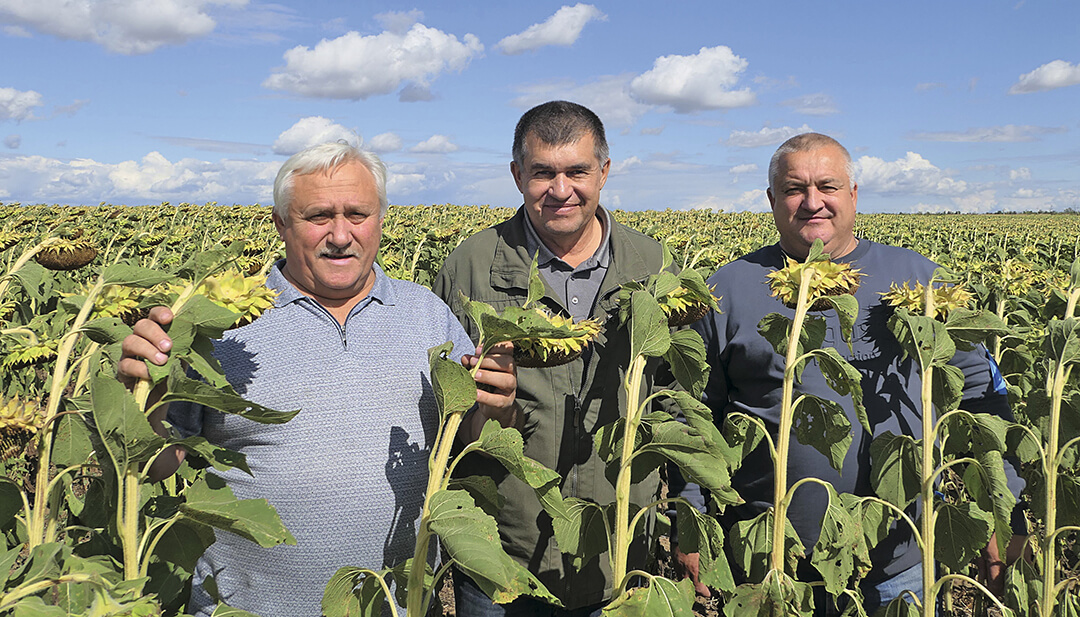 No-till – шанс для развития