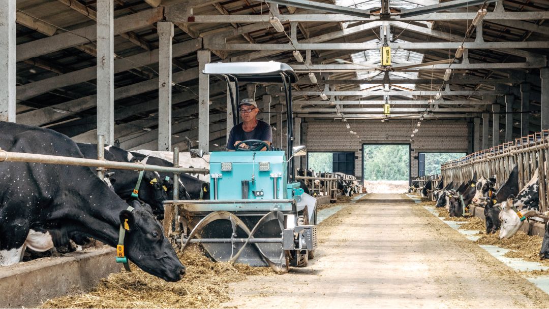 В новом молочно-товарном комплексе