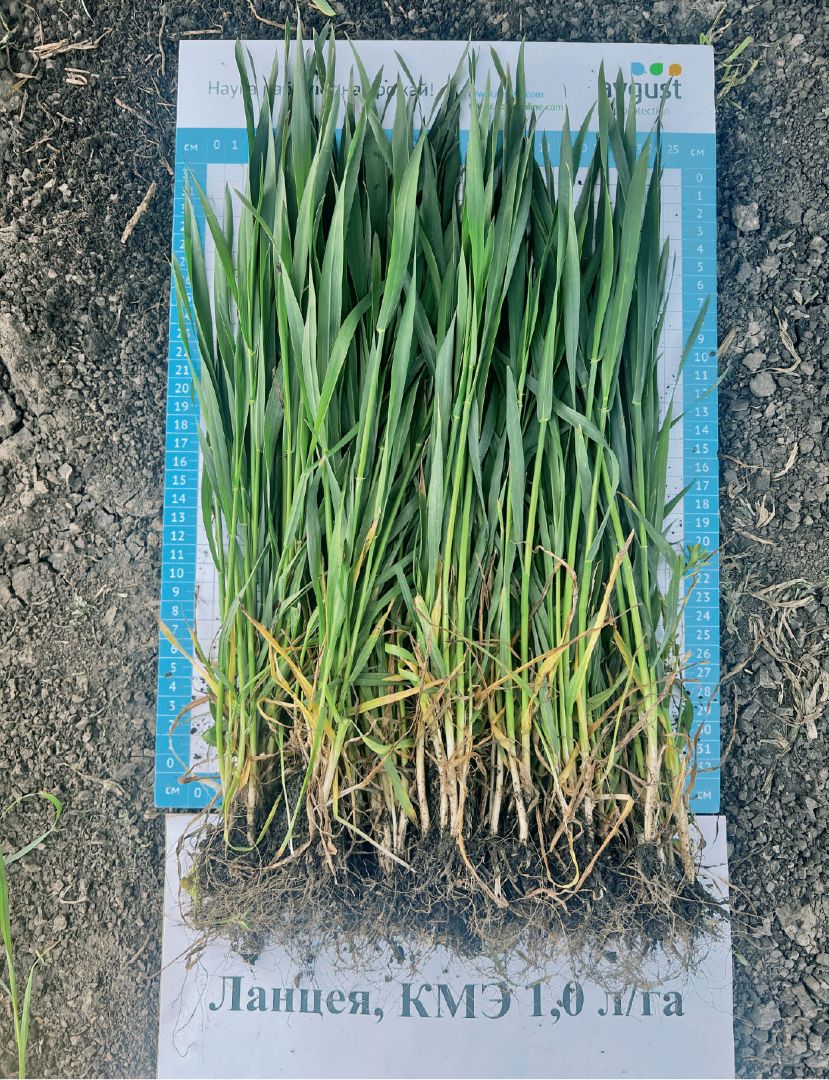 Результат работы 