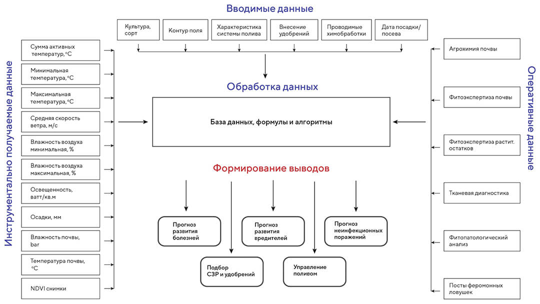 «Цифра» на поле: новые возможности 