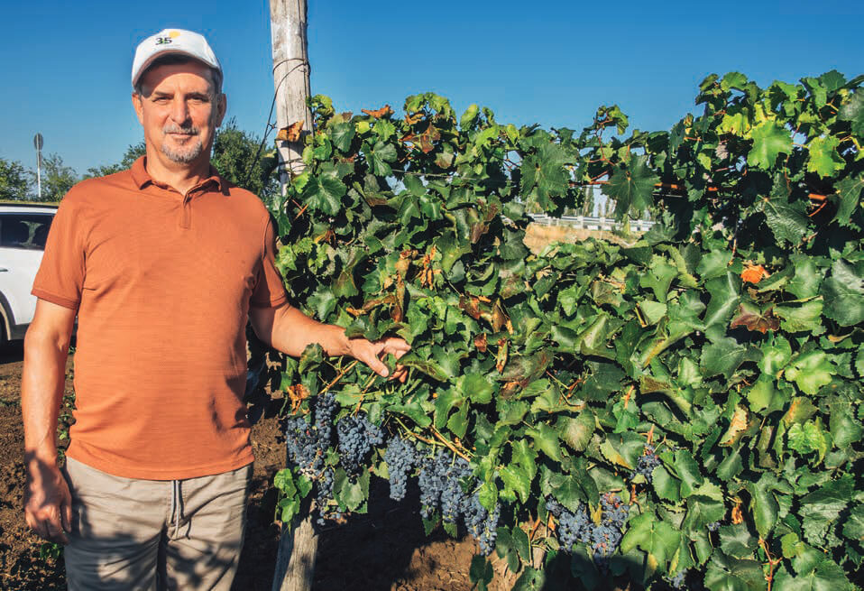 Н. В. Молчанов