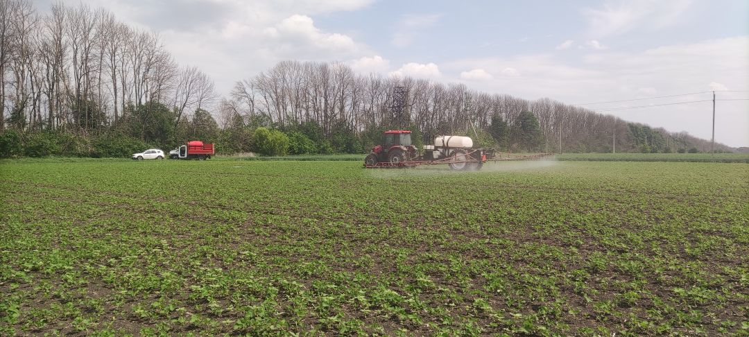 Гербицидная обработка в КФХ Литвинов А. Н.