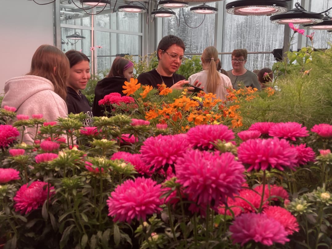 В комплексе «Биотрон» вовсю цветут астры…