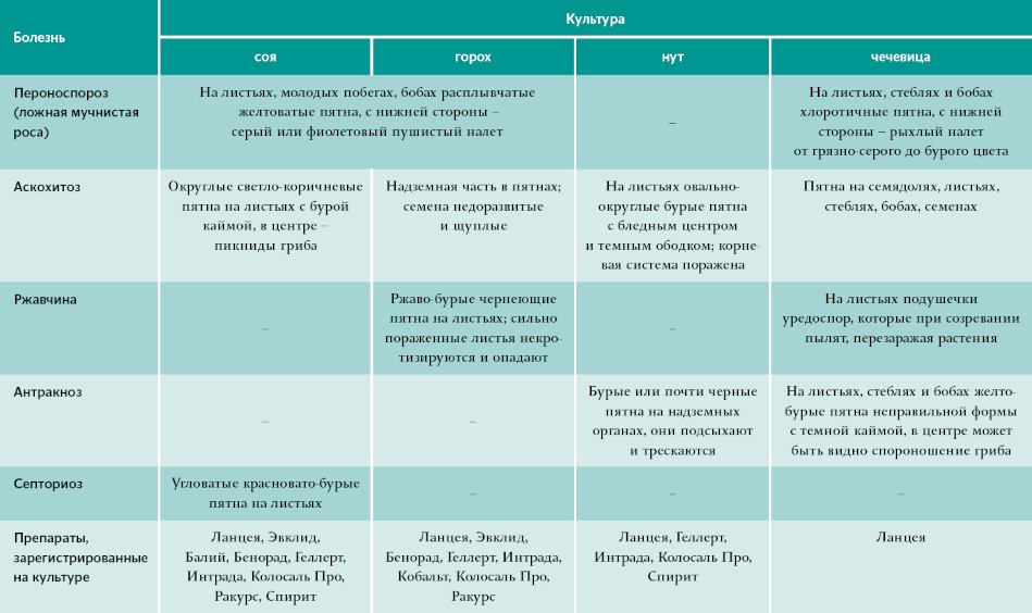 таблица