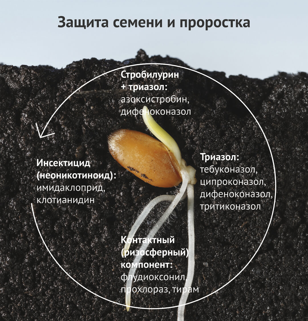 Протравливайте правильно 