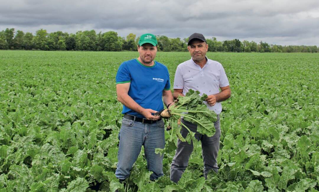 Мухтар Мхце и Алик Черкесов на свекольном поле Мухтар Мхце и Алик Черкесов на свекольном поле