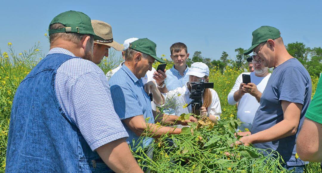  Участники экспедиции по No-till на поле горчицы сизой ПЗ «Гашунский»