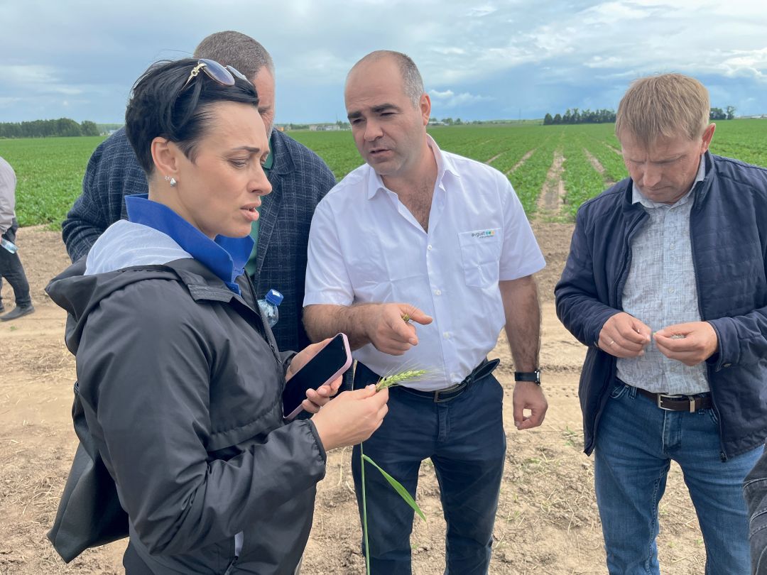 На демонстрационном участке агрофирмы «Искра» На демонстрационном участке агрофирмы «Искра»