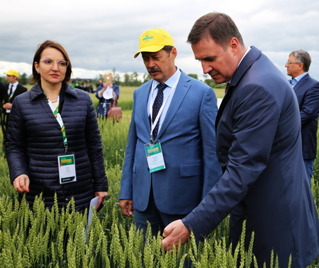 Министр сельского хозяйства РФ Дмитрий Патрушев на опытных делянках