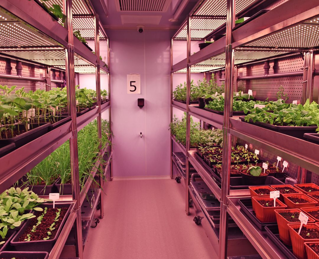 Камеры искусственного климата в новом НИЦ