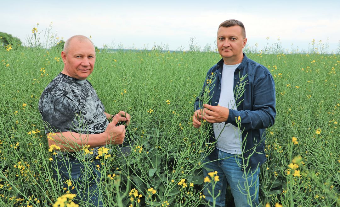 И. Драп и Е. Сопин в посевах озимого рапса