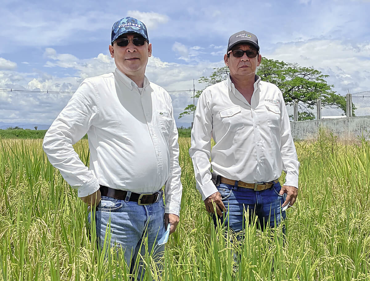 Фермер Даниэль Эдуардо Перес (слева) на рисовом поле с «августовцем» Кристобалем Мартинесом