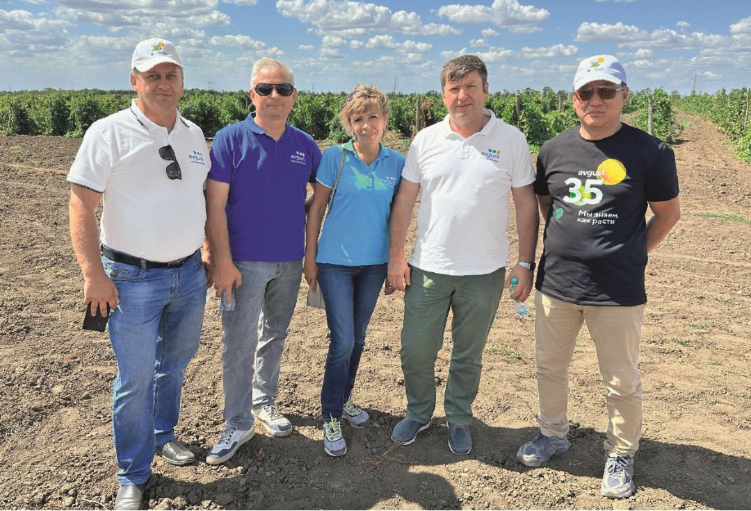 «Августовцы» на Дне винограда