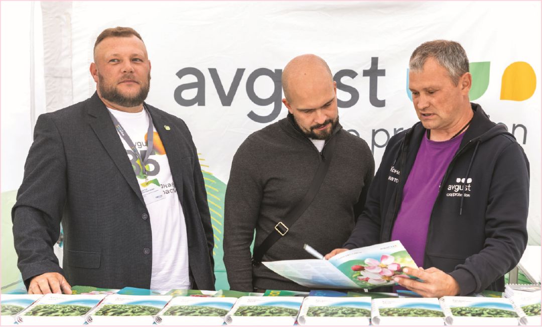 Консультации партнеров «Августа» Консультации партнеров «Августа»