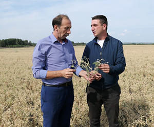 Х. Озич (справа) и С. Хасянов на поле нута 