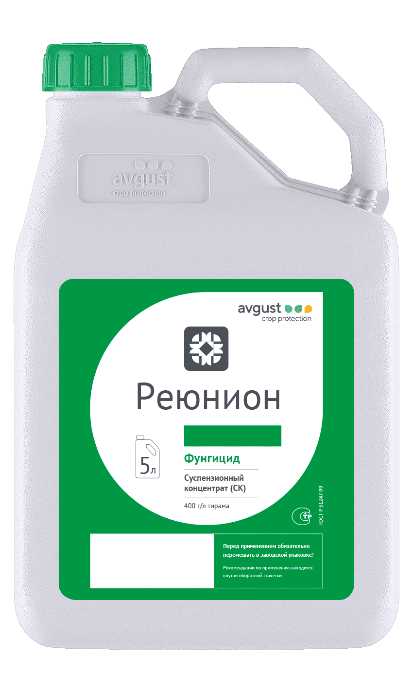 Реюнион