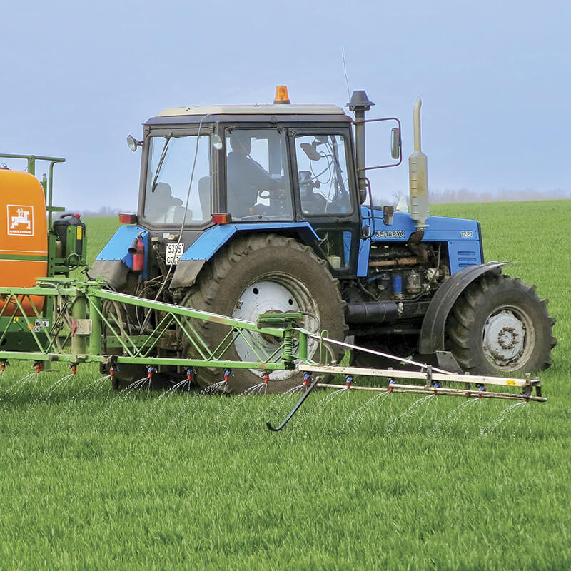 Питание озимой пшеницы