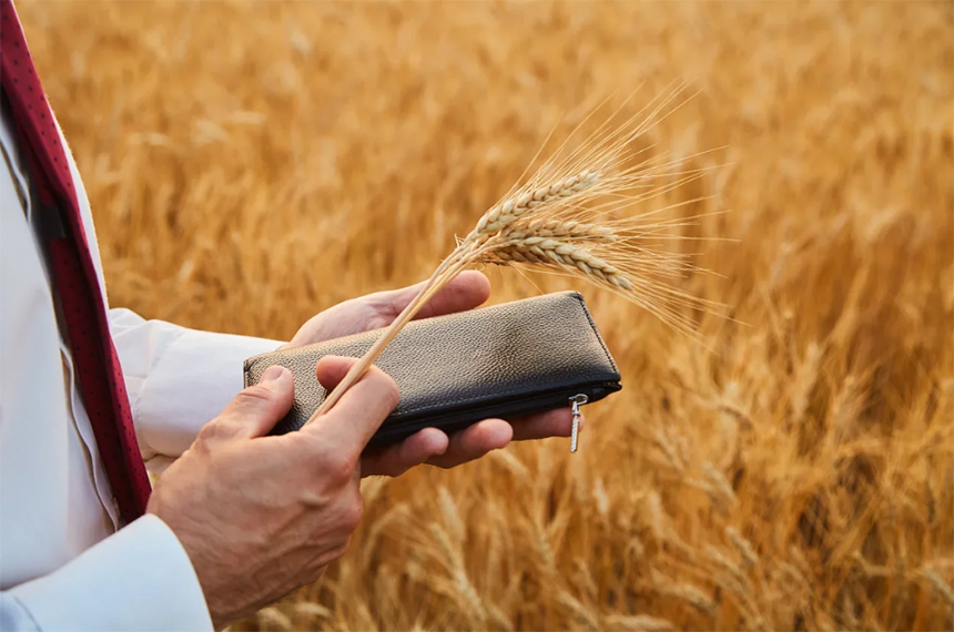 Эксперты «Августа» назвали топ-5 высокомаржинальных культур в России и главные угрозы для них в 2021 году