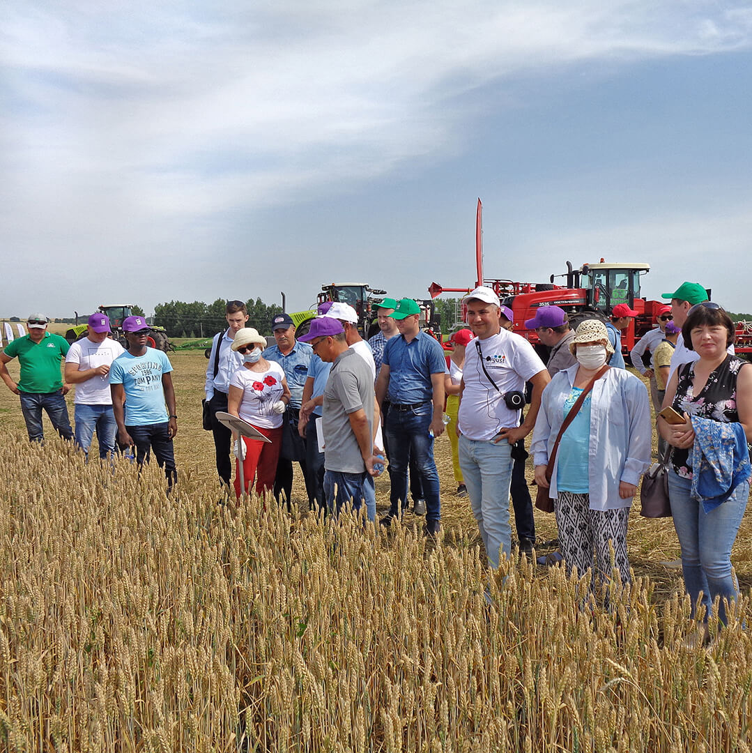 День поля в «Август-Муслюм» 