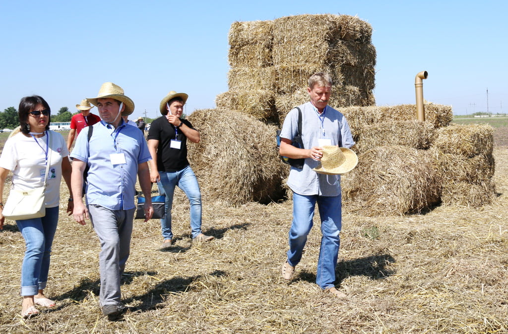 День картофельного поля в Северной Осетии