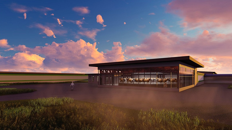 «Август» построит в Татарстане второй роботизированный молочный комплекс на 2400 коров