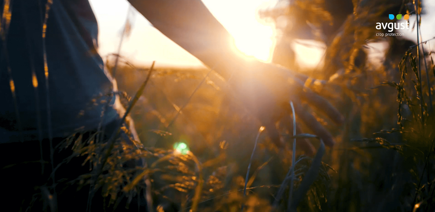 Агропроект