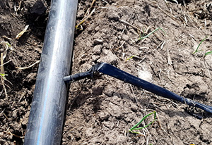 Перегибы на местах