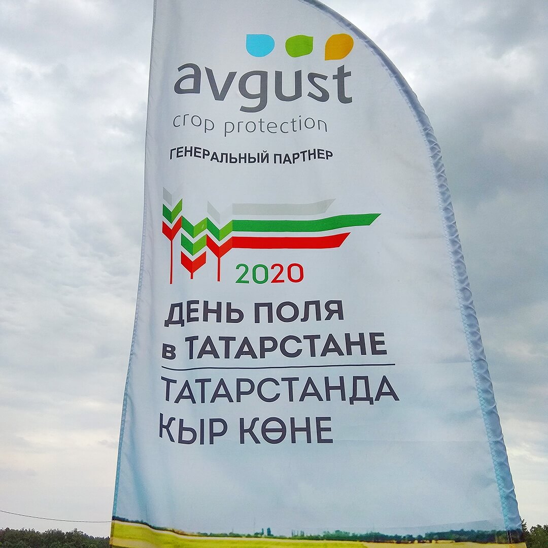 День поля в Татарстане-2020