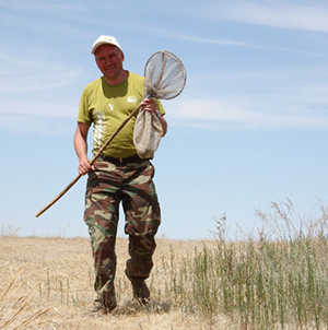 Саранчовые вредители