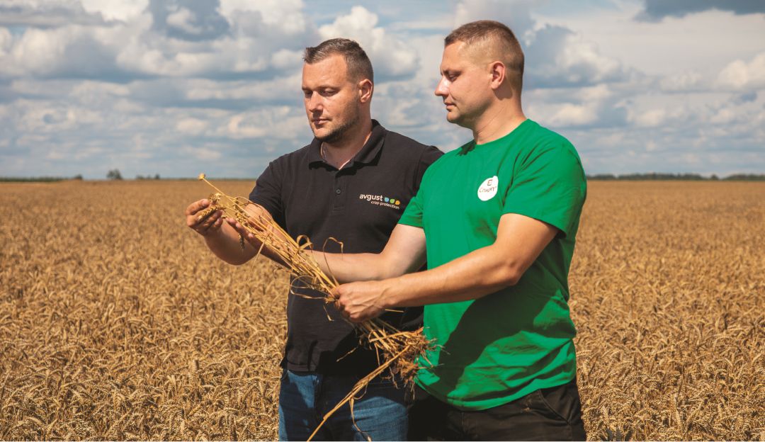 Испытательный полигон