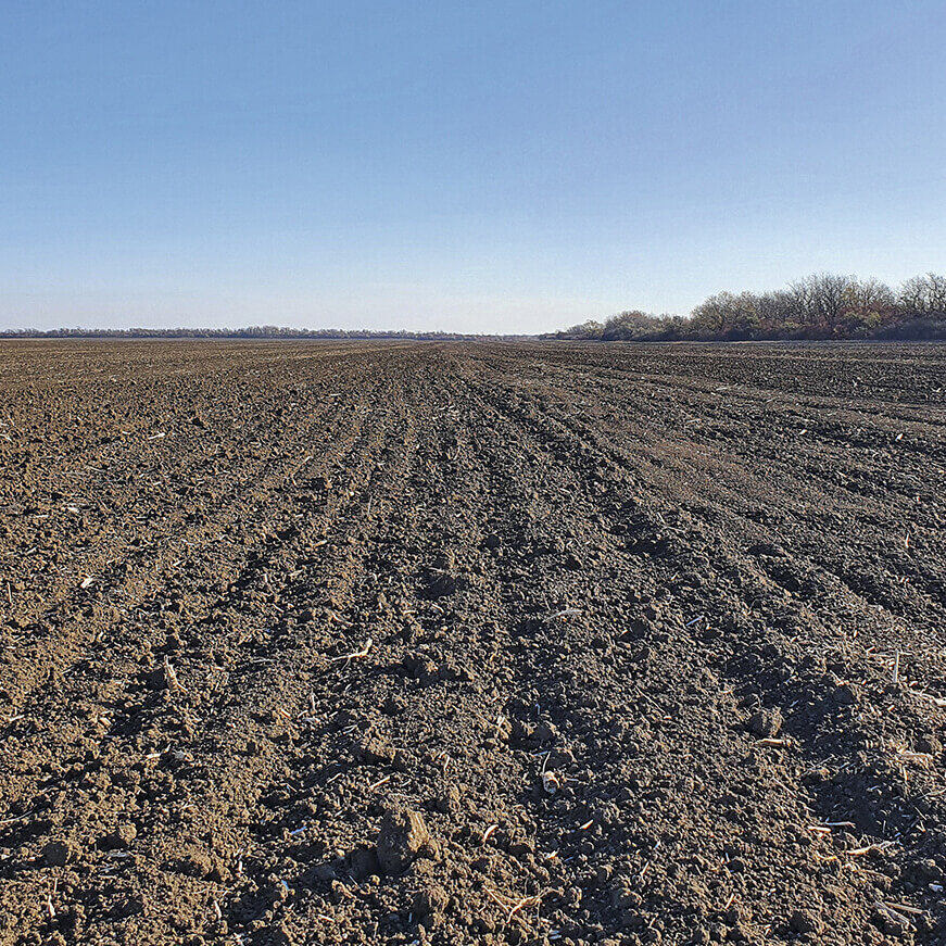 Что сделать для озимых в начале вегетации