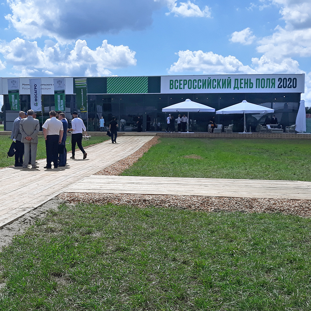 Всероссийский День поля-2020