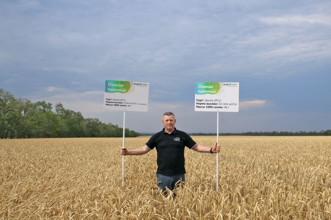 Меньше, да лучше