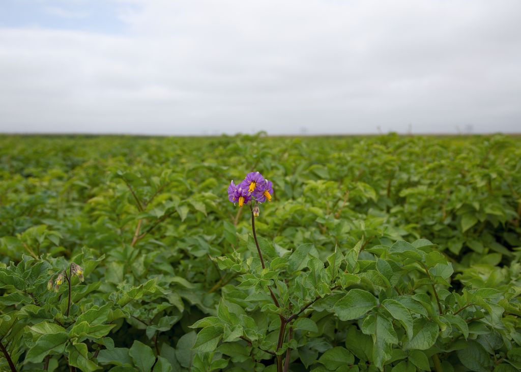 «Август» встретился с земледельцами в Красноярском крае