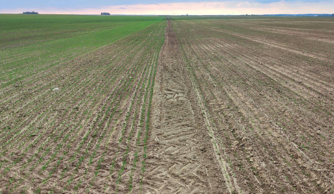 Байсайд® вне конкуренции