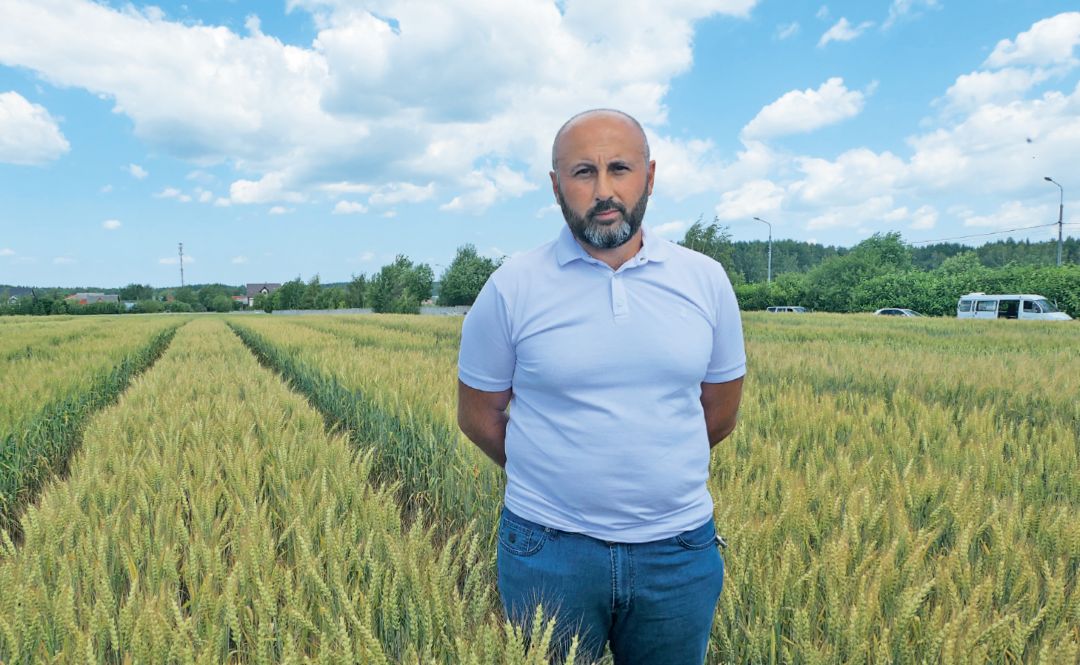 Надежная озимая