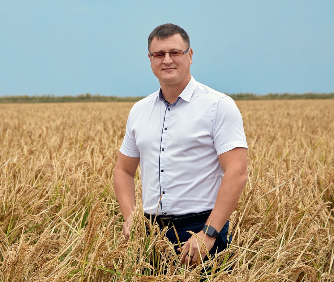 Ода рисоводам