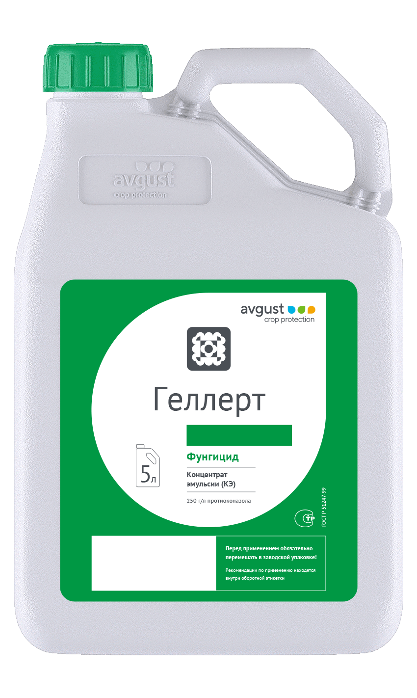 НордСтрим