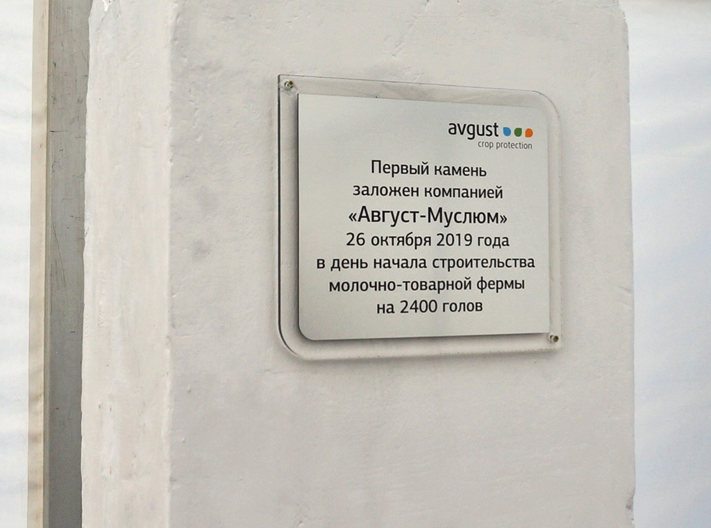 «Август» начинает строительство молочной суперфермы в Татарстане 