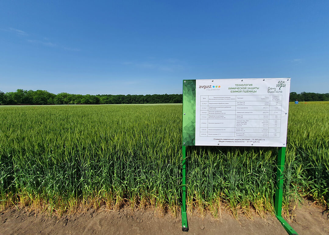 «Август» на Дне БиоПоля-2022