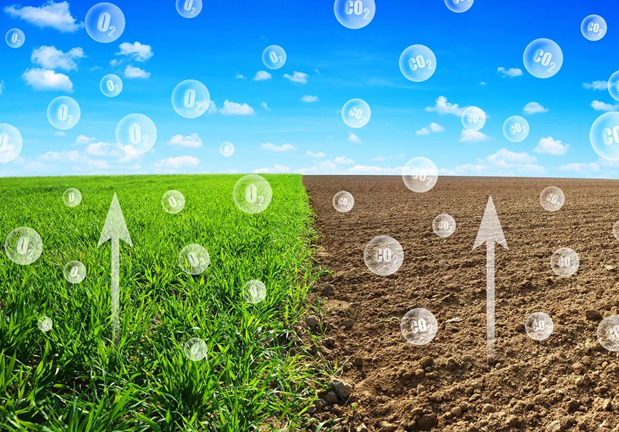 Получать доход, сокращая выбросы: компания «Август» протестирует программу продажи углеродных единиц