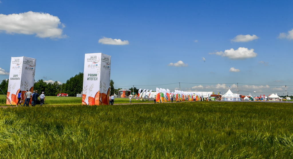 День поля в Татарстане - 2019