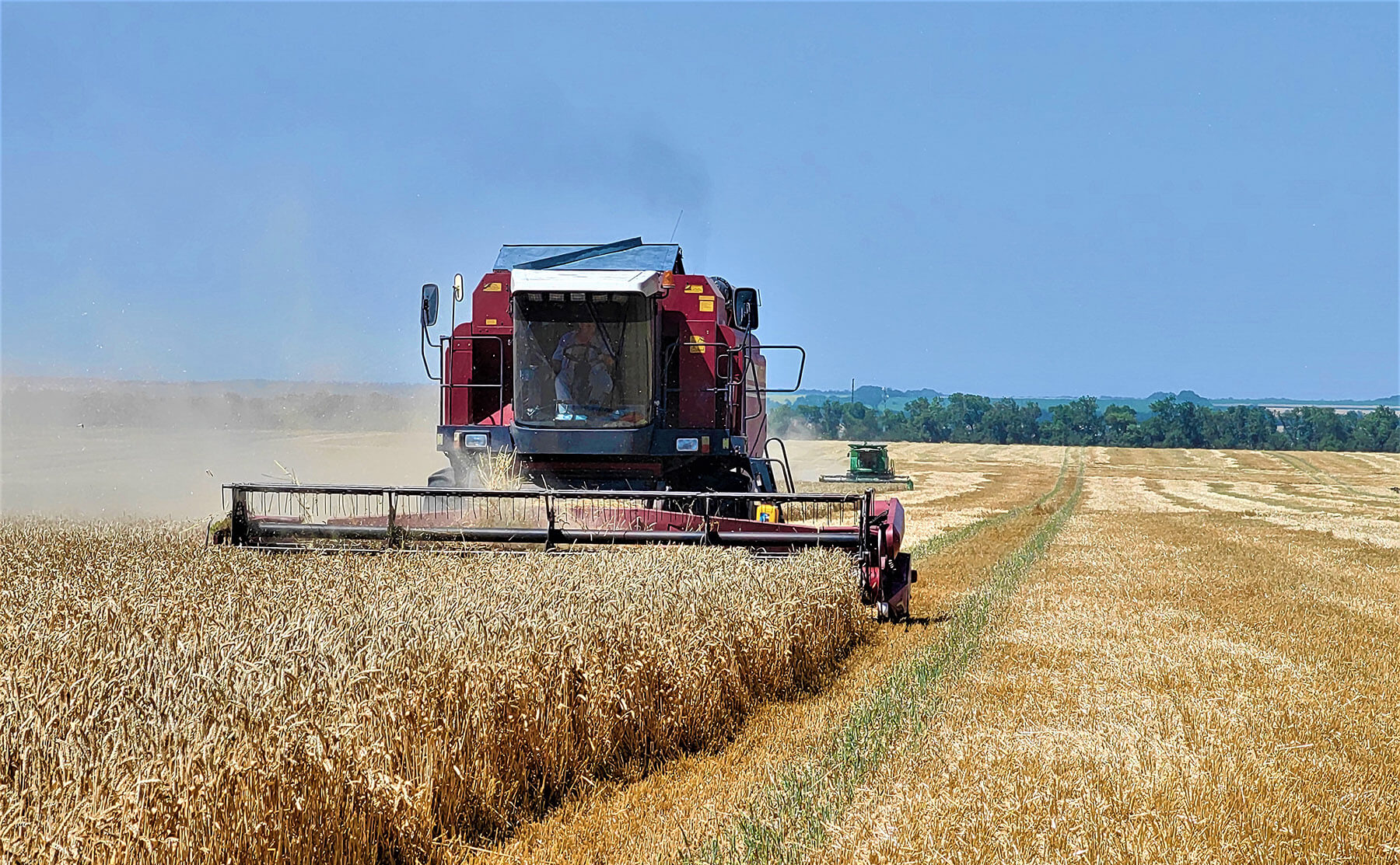 «Август-Агро» завершил 2025 год с ростом производственных показателей на фоне снижения рентабельности агросектора